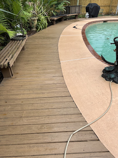 Curved swimming pool with wooden deck and tropical plants surrounding area